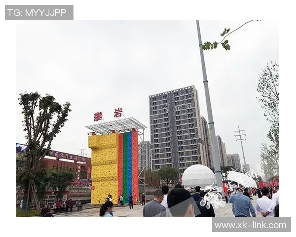 西安攀岩队区域防守分析与战术调整探讨